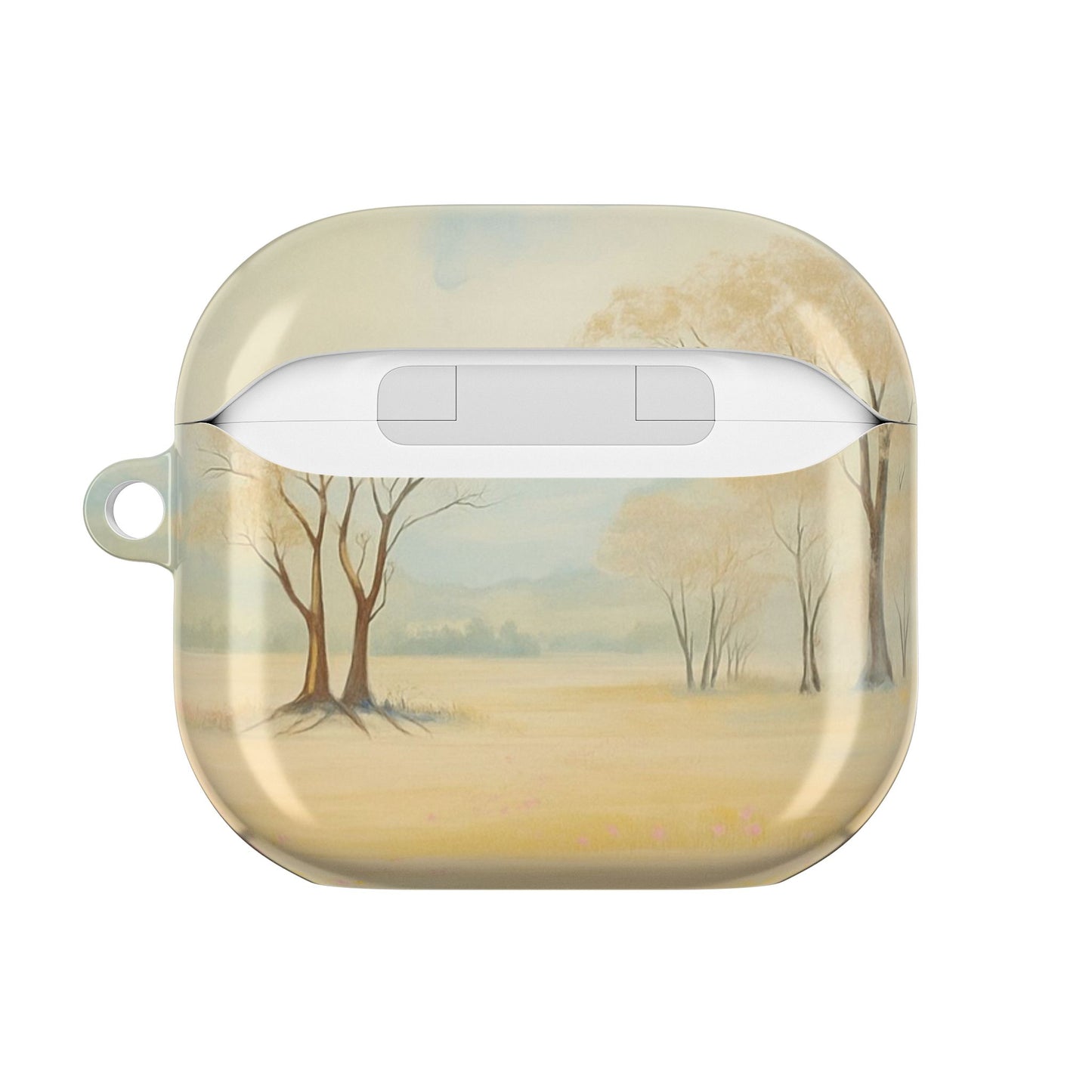 AirPod Cases